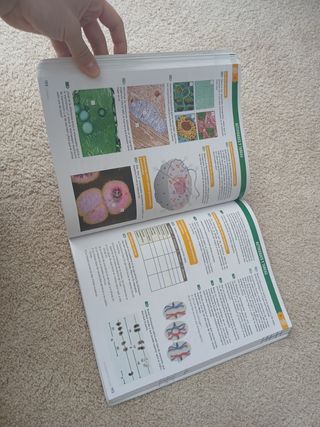 Inicia Biología y Geología 1.º Bachillerato. Libro del alumno