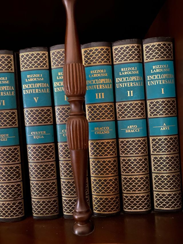 Enciclopedia Universale Rizzoli Larousse