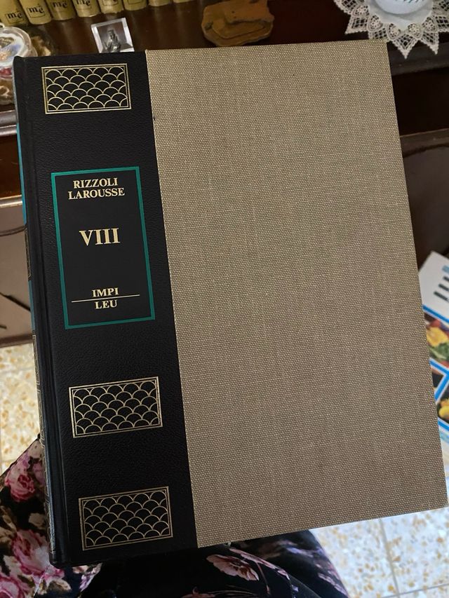Enciclopedia Universale Rizzoli Larousse