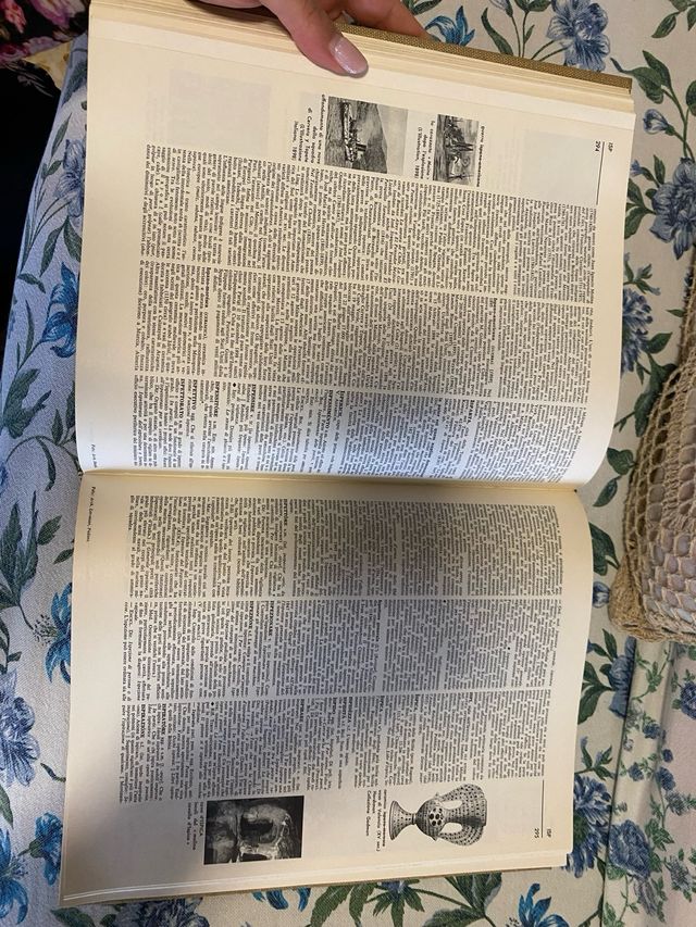 Enciclopedia Universale Rizzoli Larousse