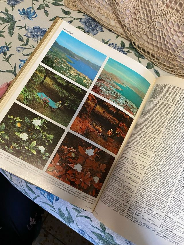 Enciclopedia Universale Rizzoli Larousse