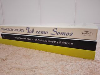 LOTE (V) 3 LIBROS Y NOVELAS