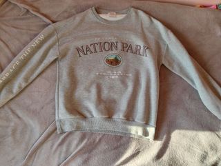Sudadera gris Phoenix Nation Park