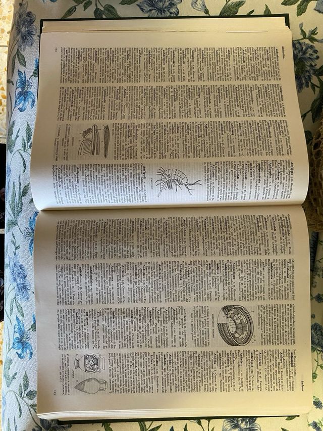 Vocabolario illustrato della lingua italiana