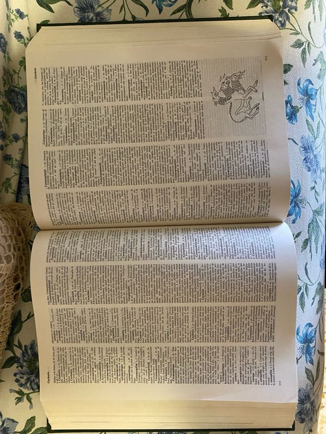 Vocabolario illustrato della lingua italiana