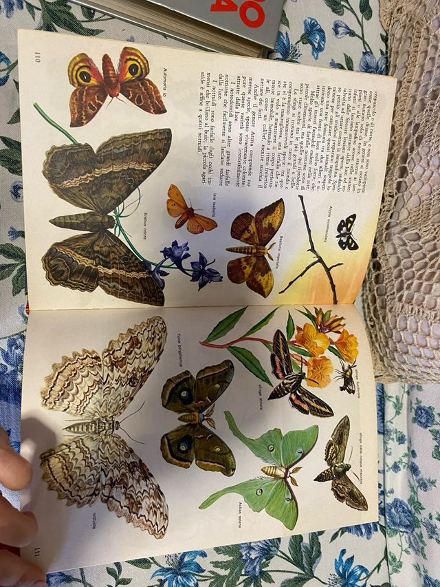 Enciclopedia “il grande libro della natura”