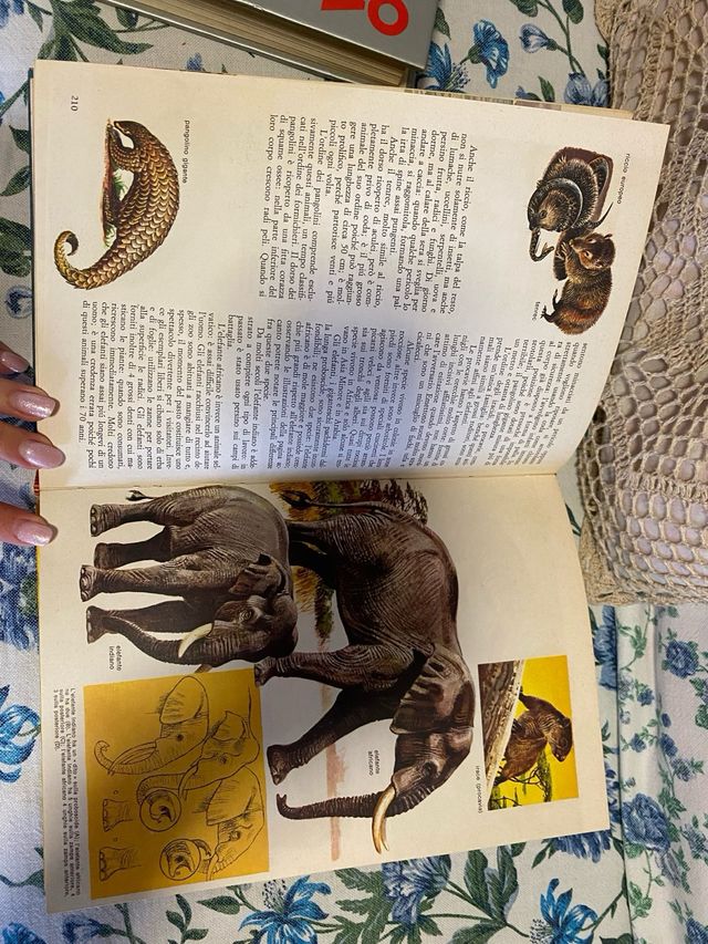 Enciclopedia “il grande libro della natura”