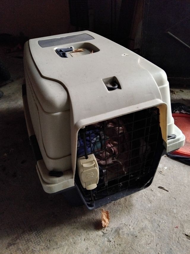 Transportín Perros - Beige/Gris