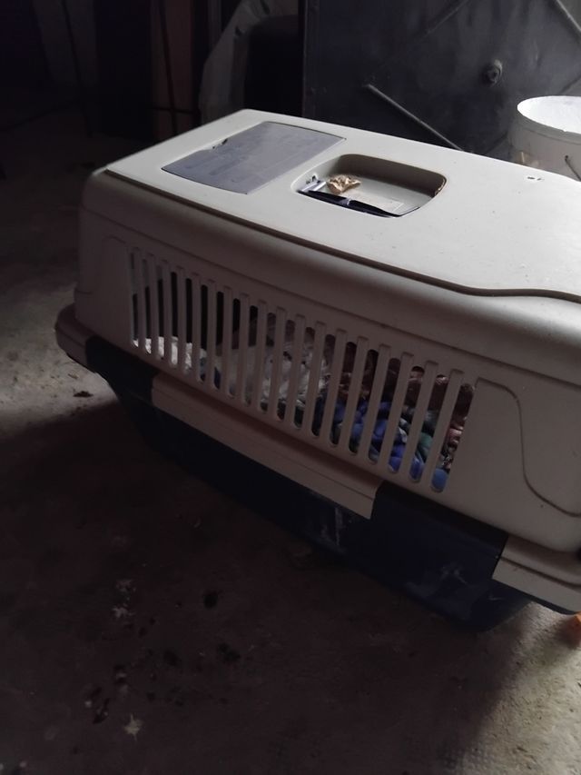 Transportín Perros - Beige/Gris