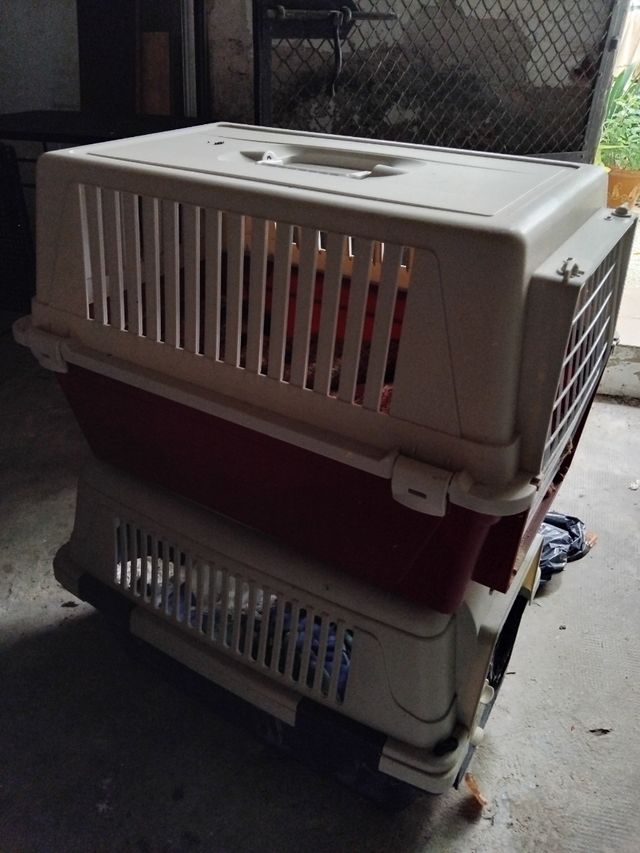 Transportín Perros - Beige/Gris