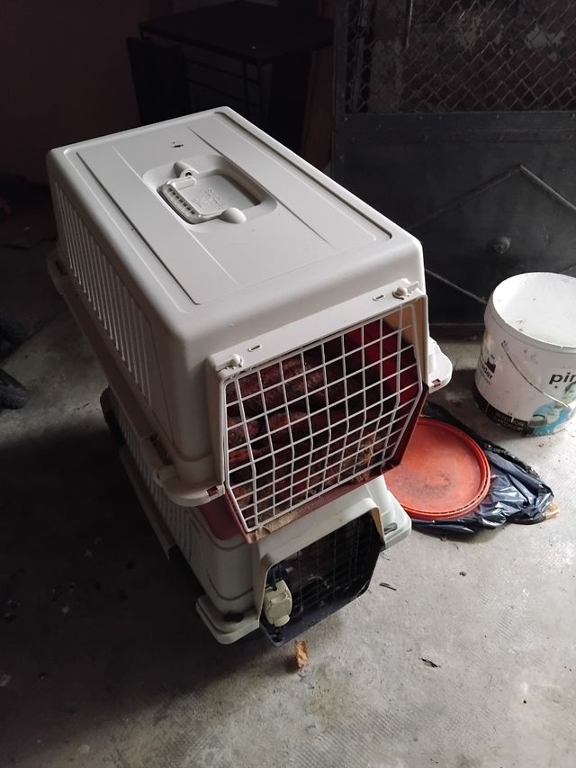 Transportín Perros - Beige/Gris