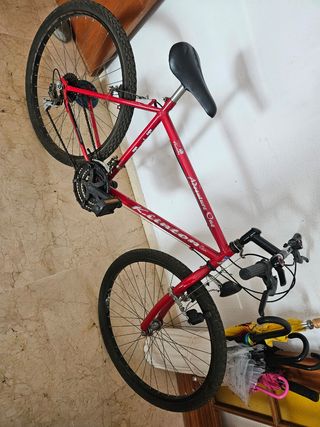 Bicicleta Kinton Adventure One
