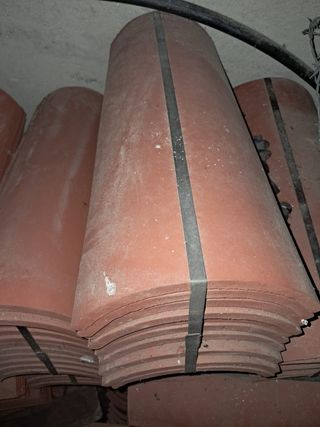  Tejas Árabes, nuevas