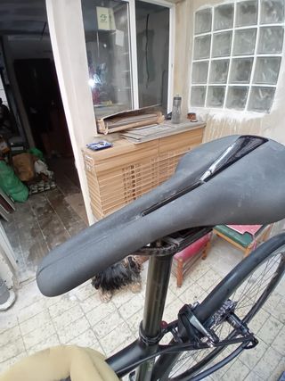 BH EVO ULTRALITH  2019