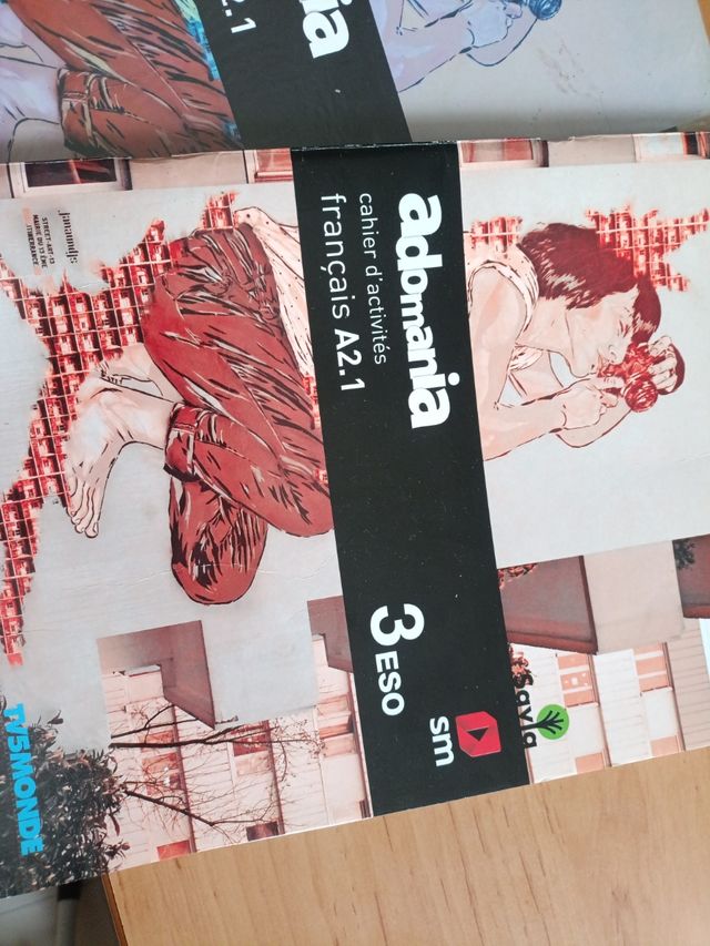 Libros sueltos curso 3 ESO 60€ !!! (3 libros)