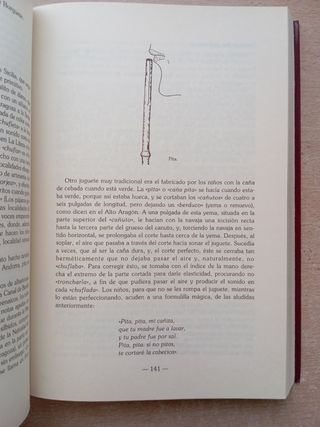 Juegos Aragoneses. Historia y tradiciones. 