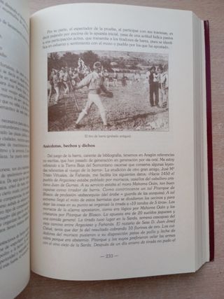 Juegos Aragoneses. Historia y tradiciones. 