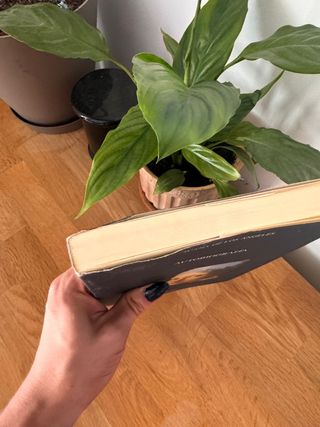 Autobiografía de Juana de los Ángeles