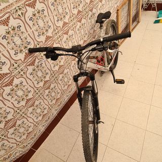 Bicicleta agece 26