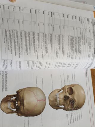 Atlas Anatomía Humana 3 Tomos