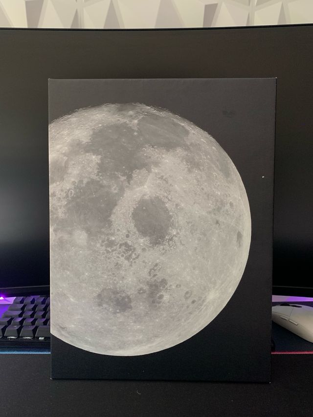 2 Cuadros Astronautas grises