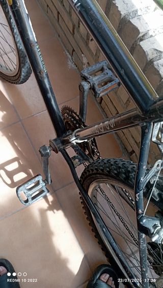 Bicicleta Moab montaña