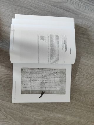Paleografía y diplomática (GRADO) (Spanish Edit...