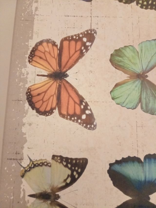 Caja Decorativa Mariposas