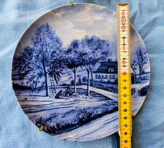 9 Piatti Limoges Collezione