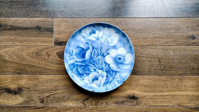 9 Piatti Limoges Collezione