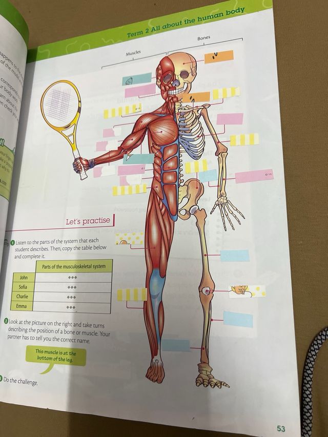 libro de 5to de primaria SM ciencias naturales