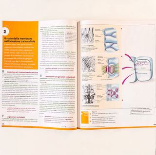 La nuova biologia.blu PLUS