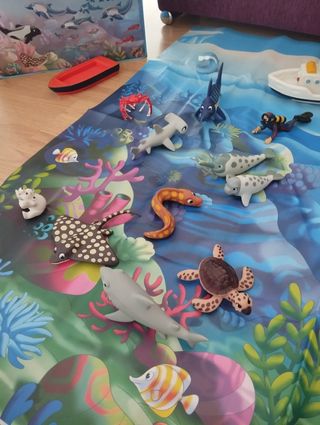 Libros los animales del mar y los polos 