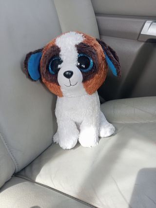 Paseo tu perro
