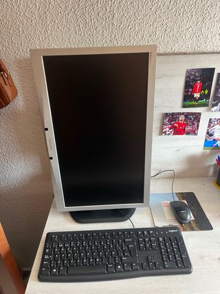 PC + Monitor Philips + teclado y ratón