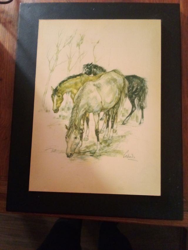 Cuadro caballos