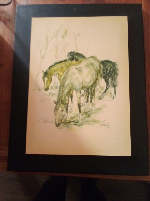 Cuadro caballos