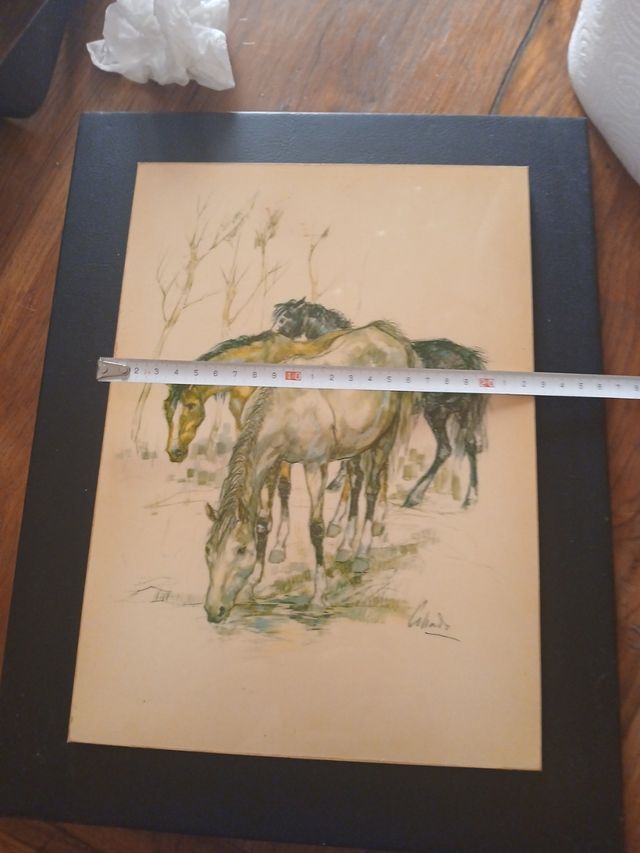 Cuadro caballos