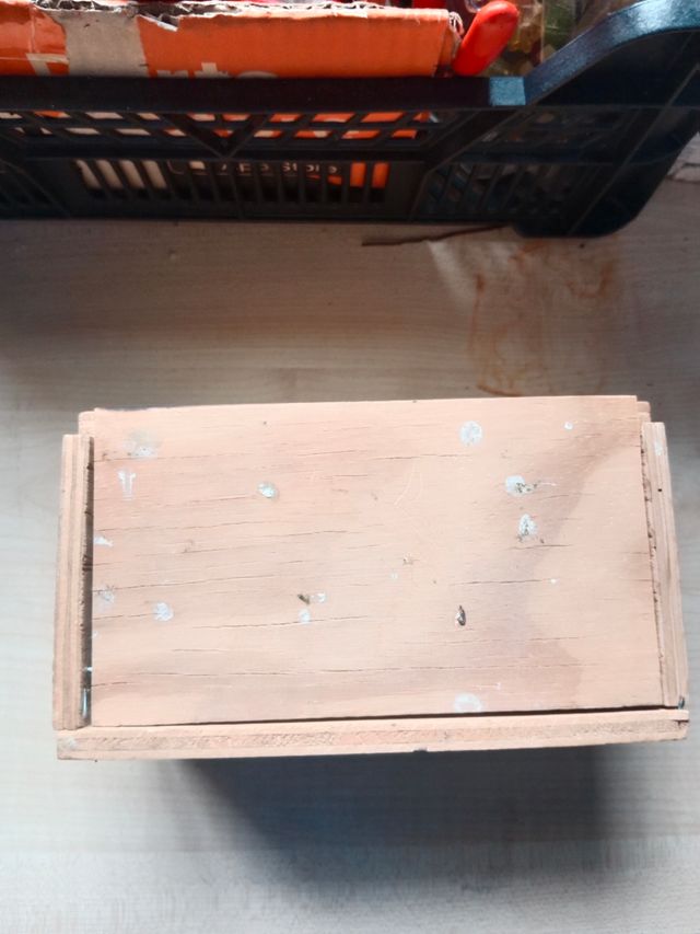 Nido pájaros madera beige