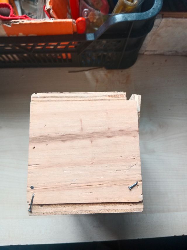 Nido pájaros madera beige