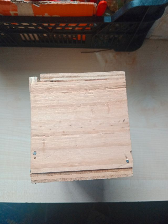 Nido pájaros madera beige