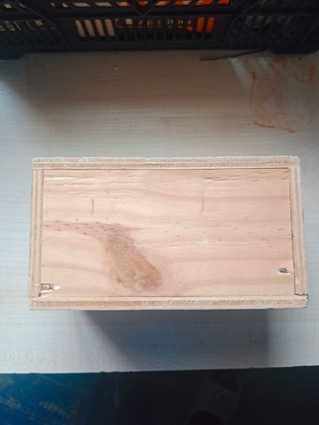 Nido pájaros madera beige