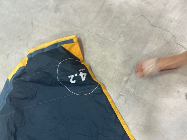 Wing Swing 4.2 - profilo alare