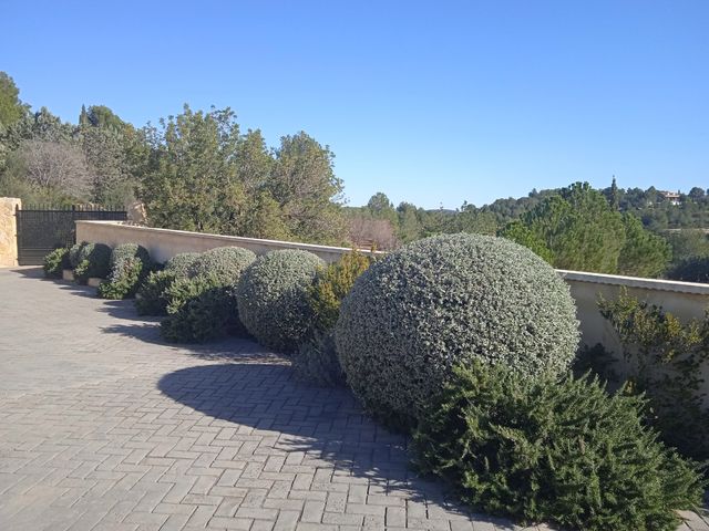 Jardinero profesional