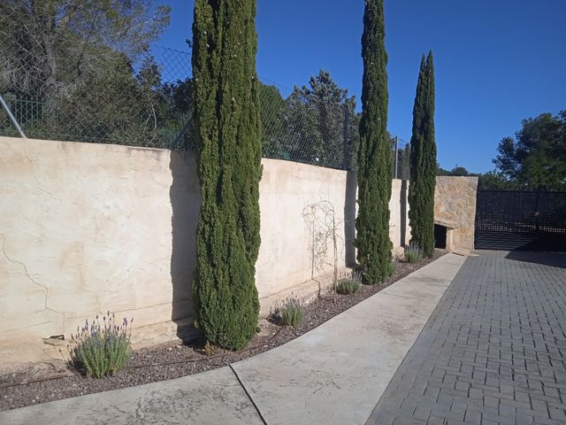 Jardinero profesional