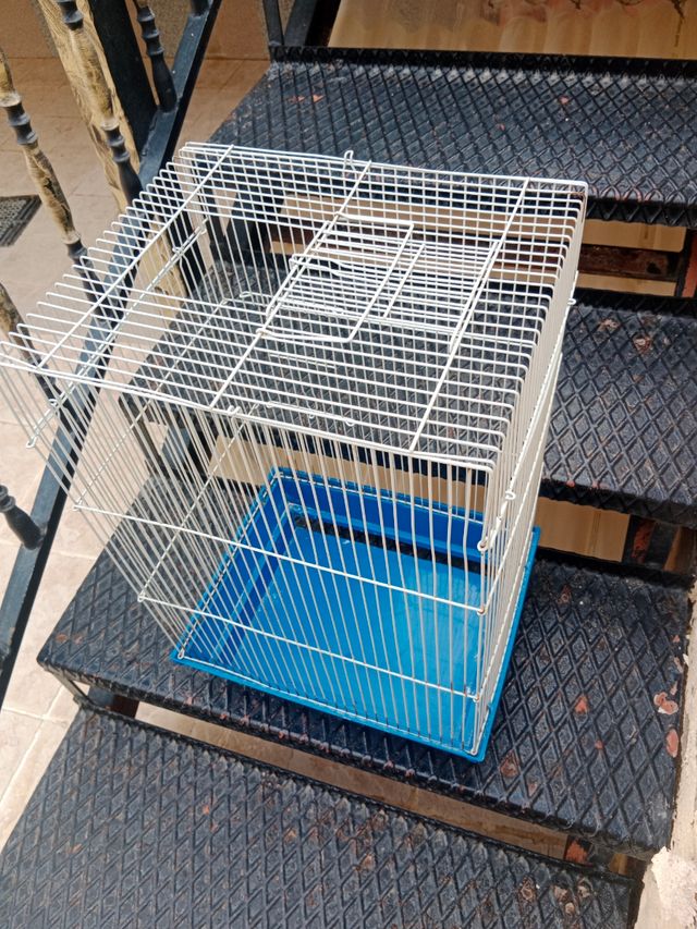 Jaula pajaros - Blanca y Azul