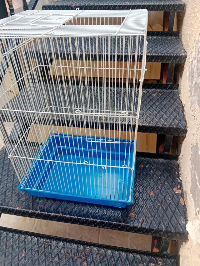 Jaula pajaros - Blanca y Azul