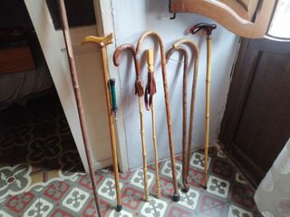 Bastoni da passeggio antichi in legno