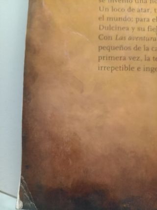 AVENTURAS DE DON QUIJOTE, LAS