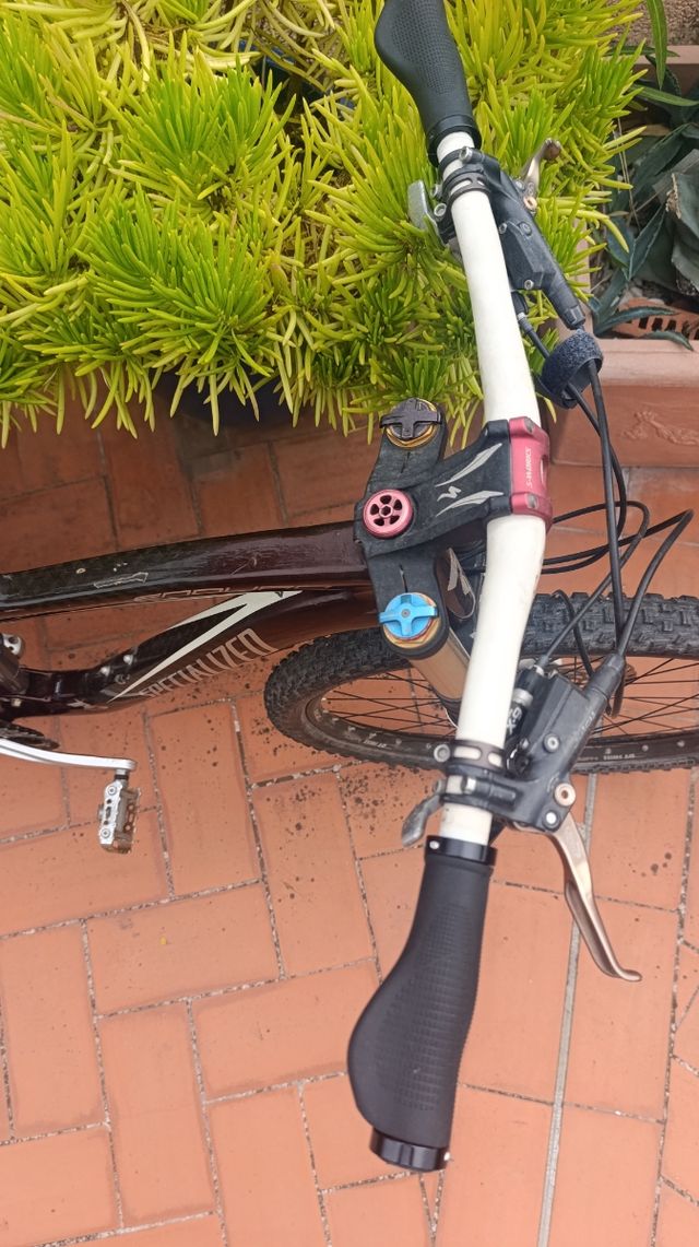 Specialized Carbon Enduro bicicleta